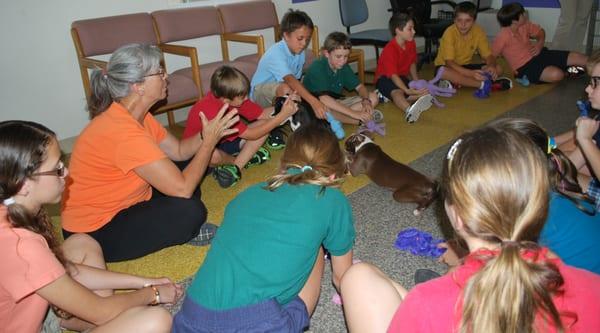 Youth group learns how to correctly interact with dogs.