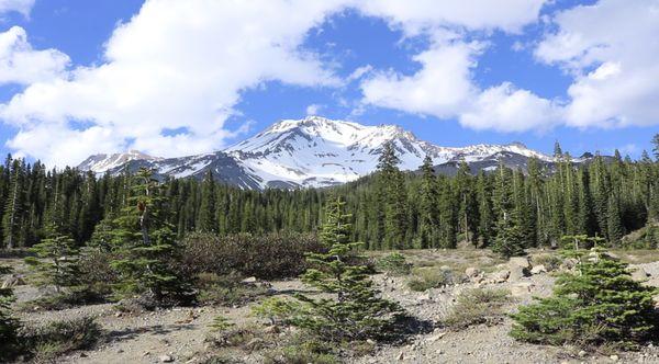 Mt. Shasta at the lookout point.