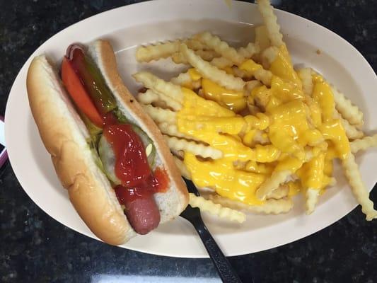 Hot dog with cheese fries