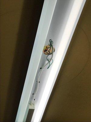 Light fixture with wires exposed