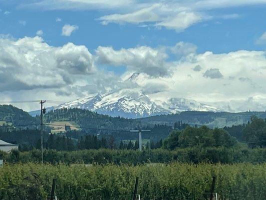 Mount Hood