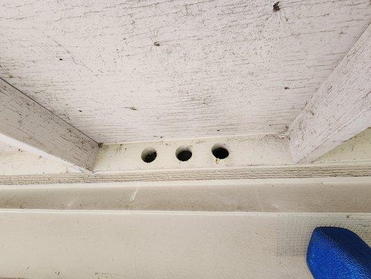 Attic vents  prevention