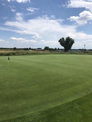 Putting green is perfectly manicured.