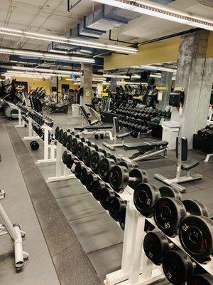 Free Weights area