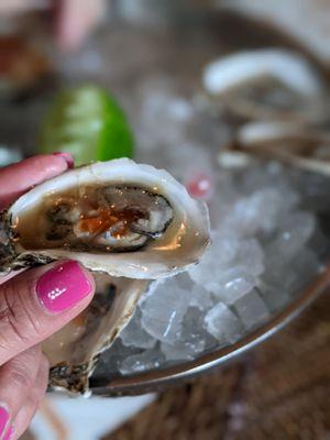 Raw oysters