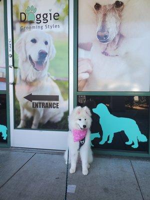 Navi in front of the store right after her visit.