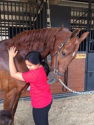 Horse LOVE!