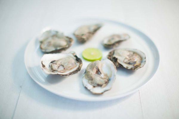 Half-Dozen Oysters / Oysters on the half shell / Media docena de ostras