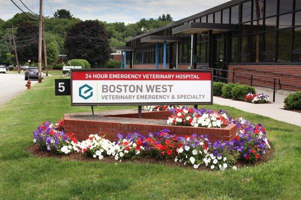 Boston West Veterinary Emergency & Specialty