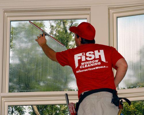 Fish Window Cleaning