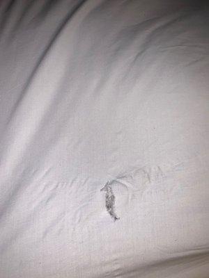 Ripped bed sheets