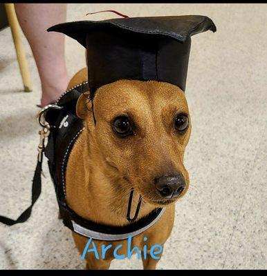 Archie's obedient school graduation!