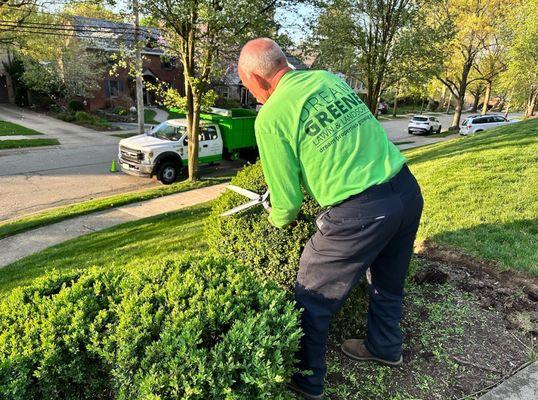 Detailed Lawn Maintenance Mt Lebanon Pa