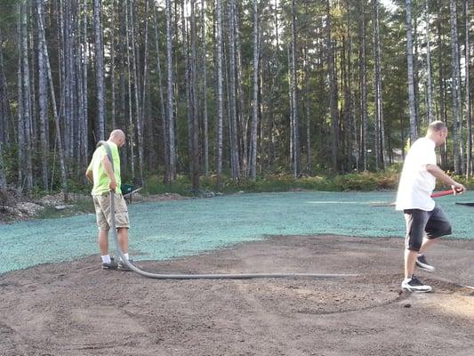 The seed being sprayed