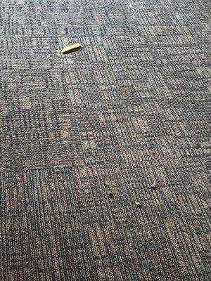 French fry and ancient broccoli on the carpet.  There was food everywhere that the wait staff continually walked past without cleaning up.