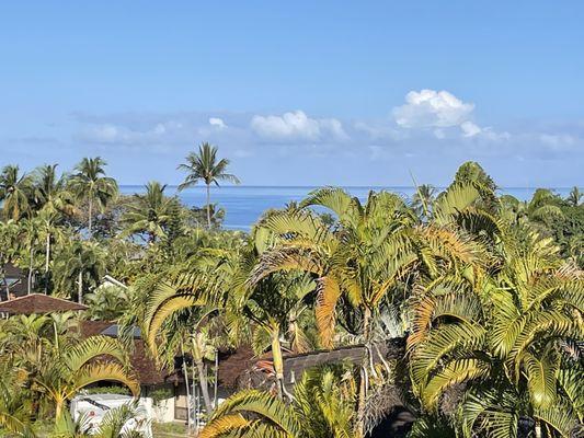 The Palms At Wailea