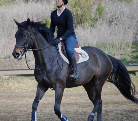 Healthy happy horses here. The best quality feed on the market.