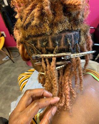 Loc's wash and re-twist