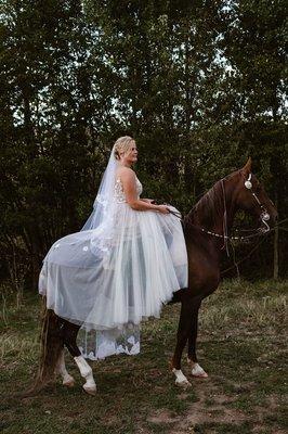 The La Joya Dulce Ranch Saddlebreds love to deliver you in style for your Colorado barn wedding in Steamboat Springs