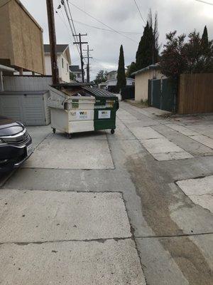 Nuisance tenant pushed trash dumpster into alleyway and on to my property.