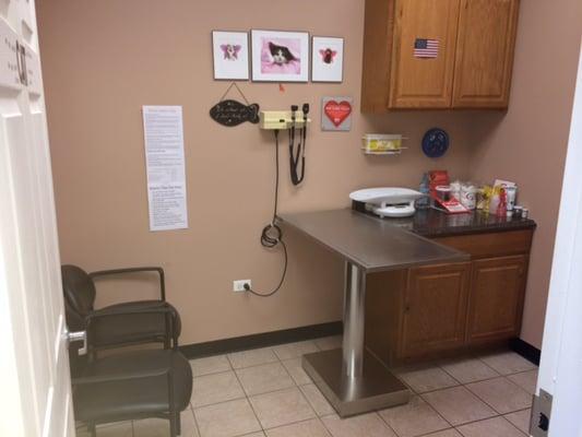 Exam room for cats