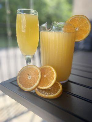 Mimosa pitcher!