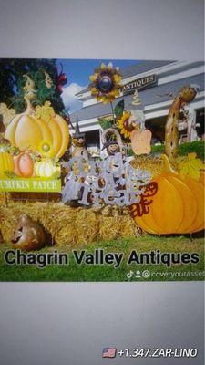 Chagrin Valley Antiques