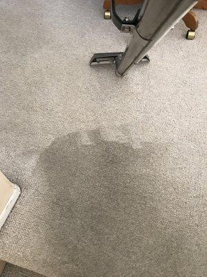 Day's Carpet Cleaning