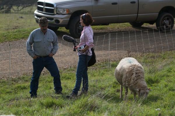 Environment reporter, Amy Quinton, in the field.