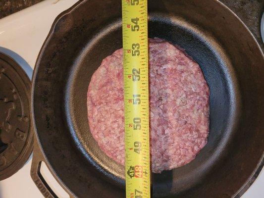 Regular hamburger patty. Almost fills a 12" cast iron skillet.