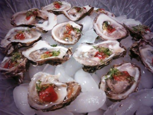 Blue Point Oysters with seaweed salad and Absolute Pepper Vodka Cocktail sauce.