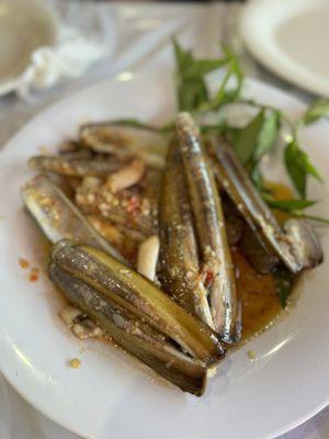 Razor clams