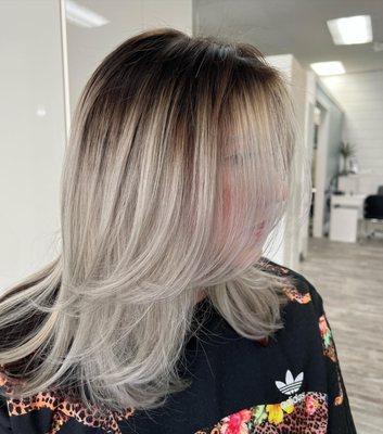 Color correction, root touchup, and silver highlights.