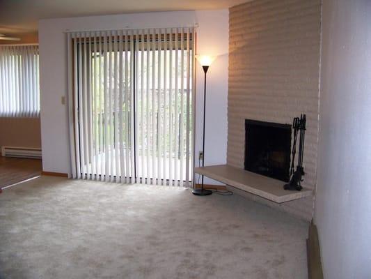 Entry Way/Living Room