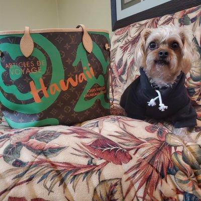 A great big MAHALO to Kevin for his help in getting my Hawaii bag!! She's perfect! Harley loves it too!!