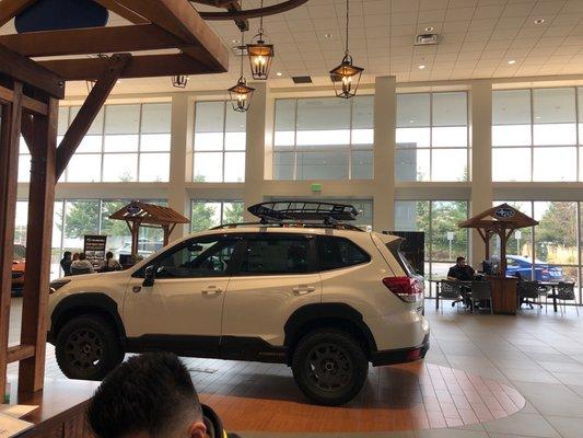 Showroom: 2023 Forester Wilderness with added wheels lift and cargo kits.