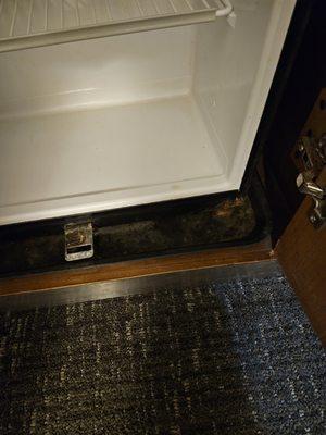 dirt and grime on refigerator