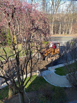 Frank ripping up the driveway 7:30 AM