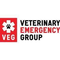 Veterinary Emergency Group