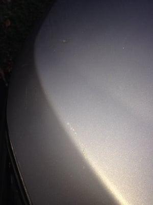 After pic (the dent isn't as obvious and the scratches are touched up with a similar colored paint)