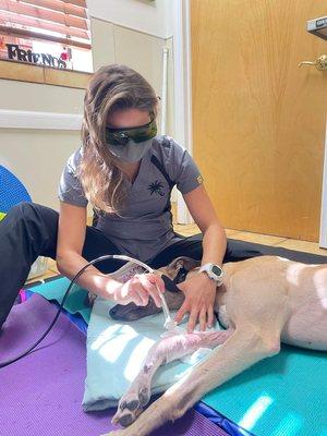 Laser therapy is an adjunctive therapy to healing and pain management