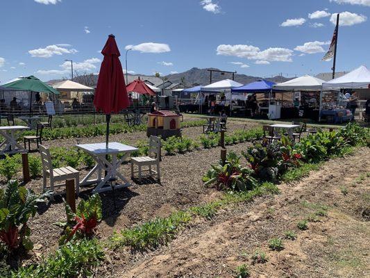 Farmers Market on Saturday