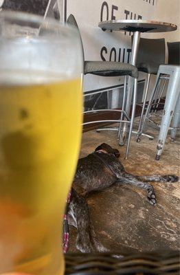 Beer and dog "inside"