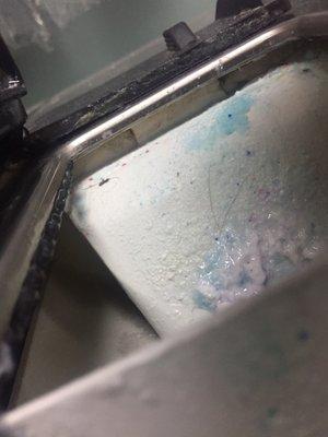 Mold in the detergent compartments.