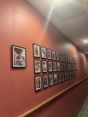 Hallway of photos