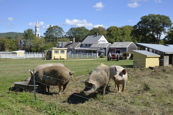 The homestead is located in the heart of a quintessential New Hampshire village