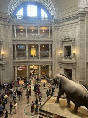 Museum atrium