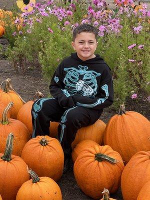 Beautiful pumpkin selection!