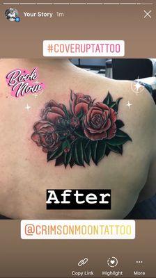 Rose CoverUp by Alyssa