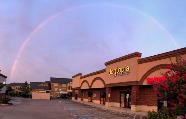 A rainbow appeared over Dogtopia on opening day!